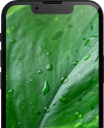 iPhone 13 mini