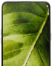 Galaxy A10s