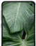 Galaxy S10e