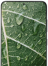 Galaxy S20
