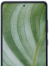 Galaxy S20 FE