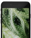iPhone SE 2020