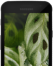XCover 4s